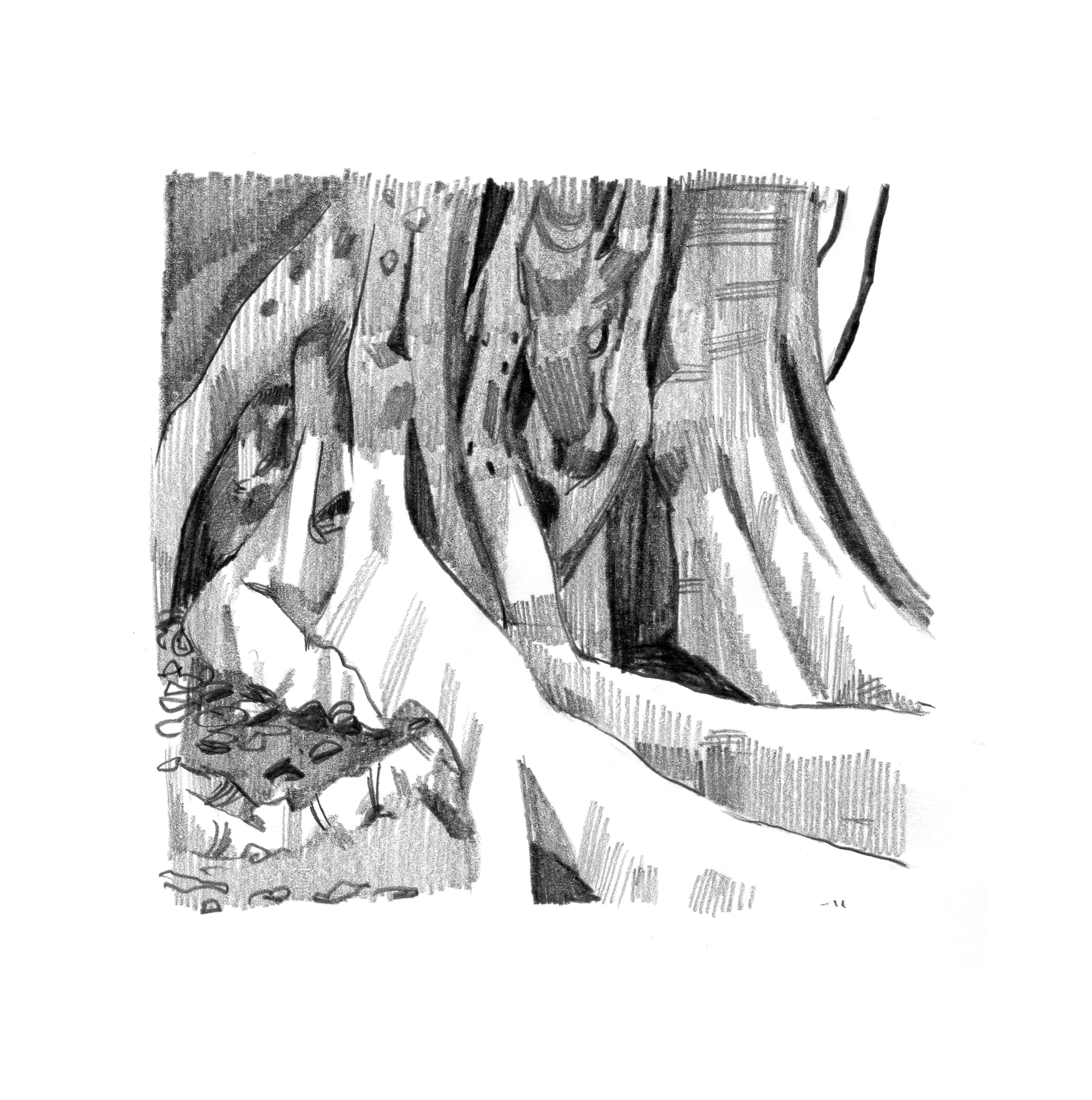 Andalusia_Martasignori5