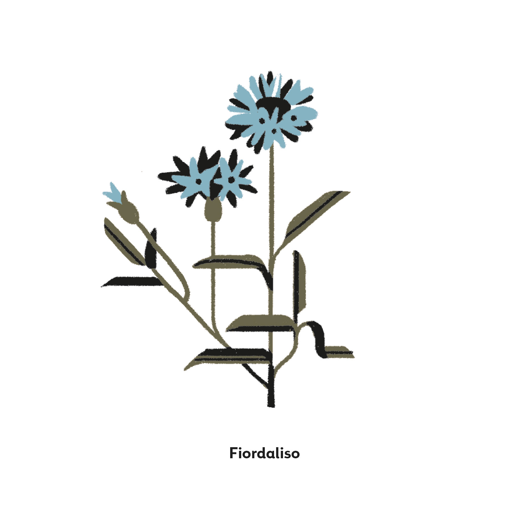 Fiordaliso