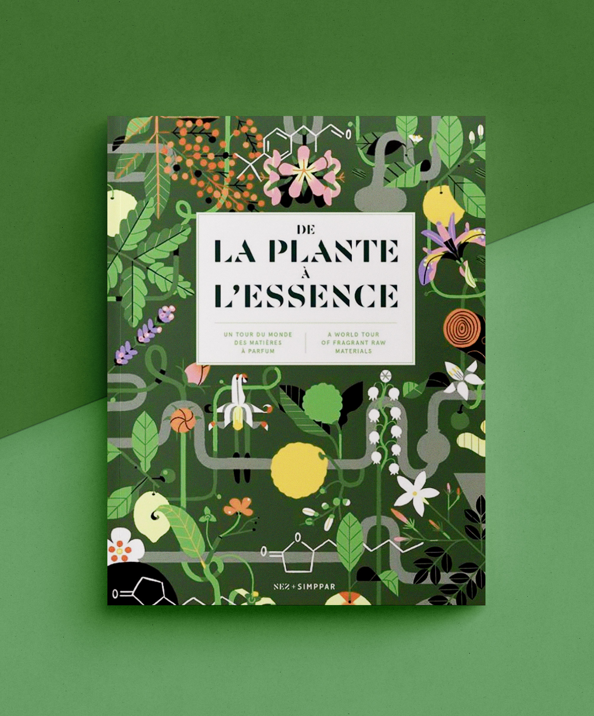 De la Plant à l'Essance